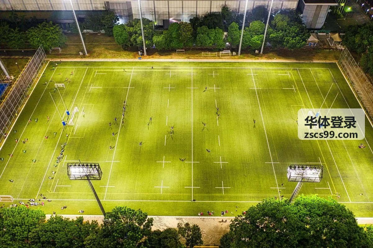 华体登录账号登录指引中的校验环节场景示意